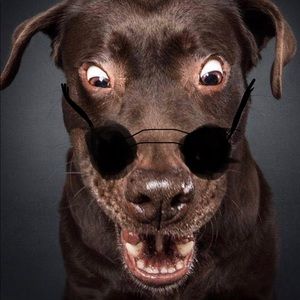 Meet your Posher, Jay